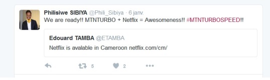 Netflix MTN CEO Philisiwe SIBIYA
